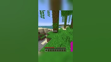 i added physics to minecraft...