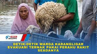 Karangligar Residents Evacuate Livestock Using Makeshift Rafts
