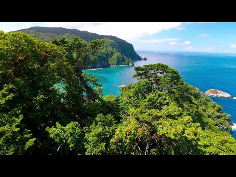 Остров Кокос Cocos Island | 4K |