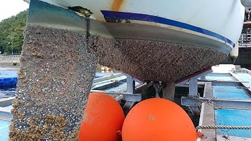 INGENIOUS Barnacles Removing From Ships And Boat  SATISFYING Barnacles Removing Process #7
