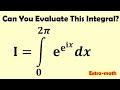 An aesthetic integral