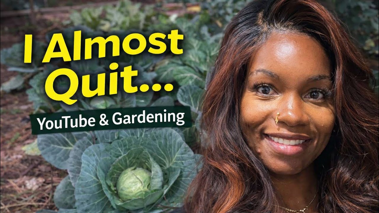 How to Harvest Bok Choy Seeds + Cabbage Harvest | Easy Seed Saving for Beginners