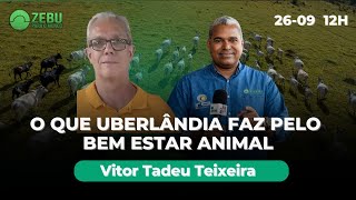 O QUE UBERLANDIA MG FAZ PELO BEM ESTAR ANIMAL com Vitor T. Teixeira PMUDI - ZPM AO VIVO 12h - 26/09