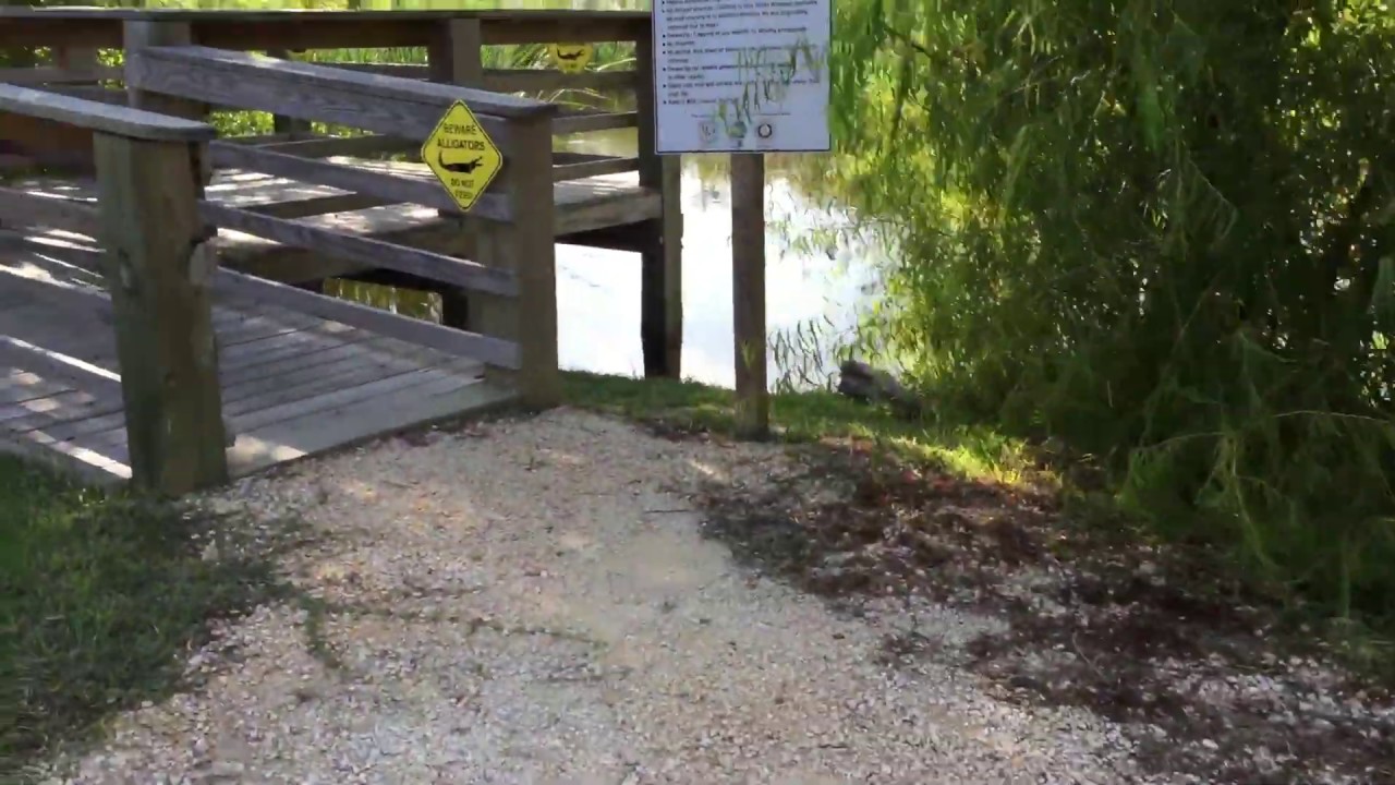 Gator 🐊!!! In Holiday Beach tiny house plans
