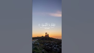 الْحَمْدُ لِلَّهِ الَّذِي خَلَقَ السَّمَاوَاتِ وَالْأَرْضَ | سورة الأنعام . #سعود_الشريم