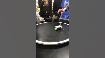 Sumo Bot Tournament #shorts