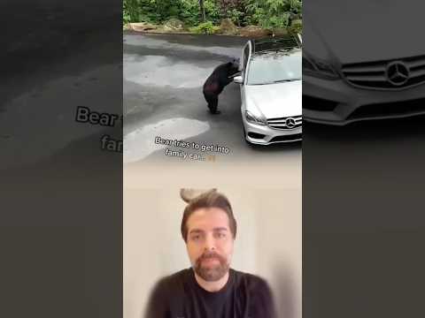 ليس كل من يهاجم قاسي ا أحيان ا يكون الخوف وراء كل تصرف اكسبلور لايك   