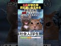 ㊗️100万再生!!【猫ミーム】台風発生反応の違い #2ch #ゆっくり実況 #猫ミーム #あるある #違い #海外 #catmemes #台風