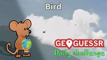 Geoguessr Daily Challenge - No Move September Challenge - I Found A Bird