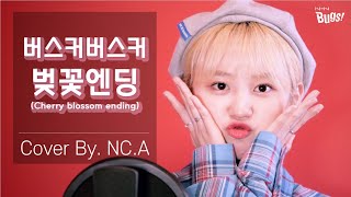 [앤씨아/NC.A] 버스커버스커(Busker Busker) - 벚꽃엔딩(Cherry Blossom Ending) COVER( ENG SUB)