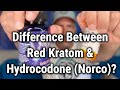 Difference between red kratom vs hydrocodone