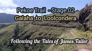 Pekoe Trail Stage 02 | Galaha to Loolcondera |  #srilanka