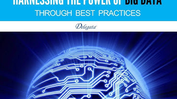Harnessing the Power of Big Data through Best Practices- Delegata- Session 24: BD- A PSP Forum