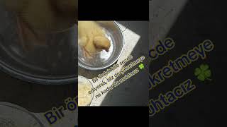 Namaz, Sadece Insanlar Için Değil; Doğa Da Kendi Lisanınca Secde Eder.