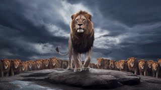 The Lion King in One Minute | Condensed Story
