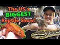 Attending the Tinley Park Reptile Expo!! (2021)