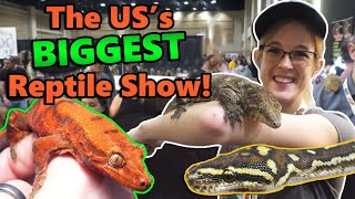 Attending the Tinley Park Reptile Expo!! (2021)