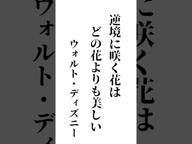 逆境の中で咲く花は、どの花よりも貴重で美しい。NEW!ウォルト・ディズニー