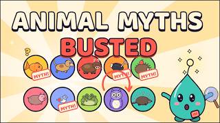 10 Animal Myths Everyone Still Believes | Fun Animal Facts for Kids screenshot 5