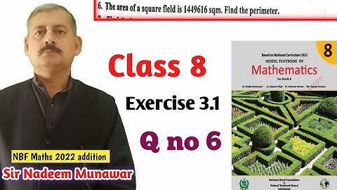 Class 8 Exercise 3.1 Q no 6  NBF Maths Ex 3.1 Square root Urdu Hindi Sir Nadeem Munawar