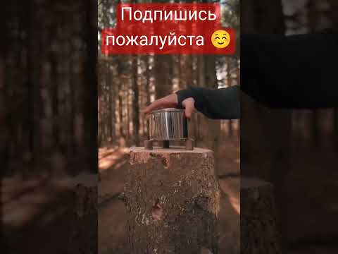 Плита из пня #shorts #shortvideo #short #лайк #лайфхак #выживание #своимируками #релакс #кайф #топ