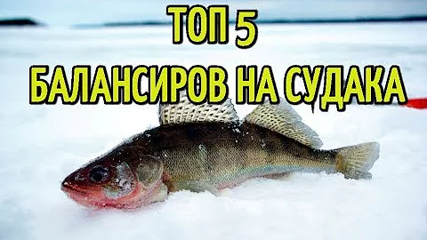 Лучшие балансиры для ловли СУДАКА. Топ 5 уловистых балансиров