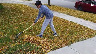 How to rake leaves. Easy technique step by step..step by step. DIY.