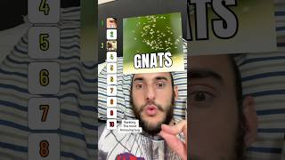 Ranking The Most Annoying Bug