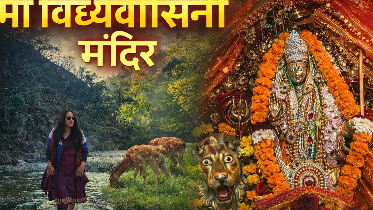 जंगल के बीच माँ विंध्यवासिनी मंदिर | हरिद्वार#माँविंध्यवासिनी#Mandir#Haridwar#ChillaRange#travelvlog