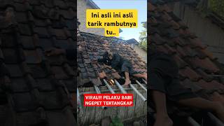 Ketahuan Pelaku Babi Ngepet