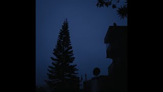 essp - walking away (Visualizer)