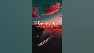 القارئ ماهر المعيقلي ❤ #القرآن_الكريم #alquran #القرآن #العراق #السعودية #youtube #الجزائر #مصر