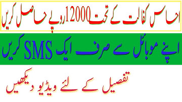 ehsas kafalat program| registration form |ehsas kafalat program online apply|imran khan|fsub videos