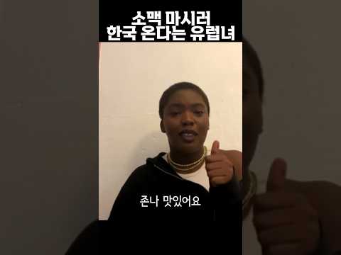 순하리는 애기술