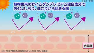 サイムダン 4KサンプロテクトパウダーCICAミニ付特別セット サイムダン