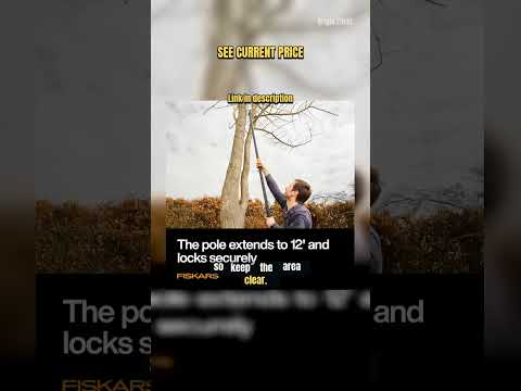 A Standing Setup for Low-Branch Pruning video thumbnail
