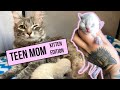 This young mama was still a kitten when she gave birth. Ugh. Now I'm raising both kittens!