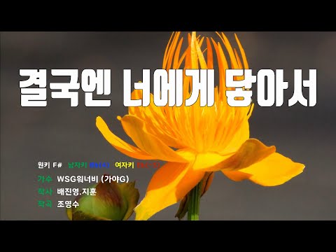 [은성 반주기] 결국엔너에게닿아서 - WSG워너비(가야G)