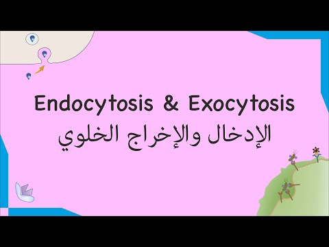 #8 Enocytosis & Exocytosis الإدخال والإخراج الخلوي | Biology