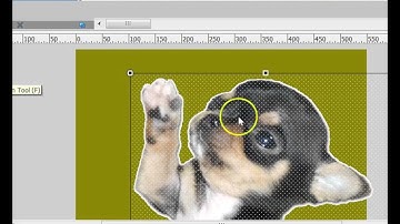 Flash Logo Vectorian Giotto Assignment