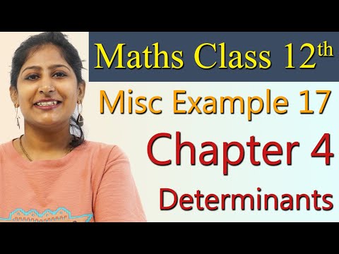 Misc Ex. 17, Determinants, Chapter 4, Maths Class 12th Solutions