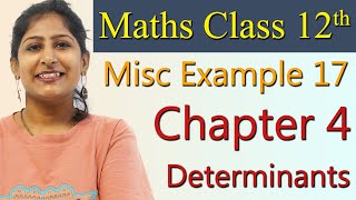 Misc Ex. 17, Determinants, Chapter 4, Maths Class 12th Solutions