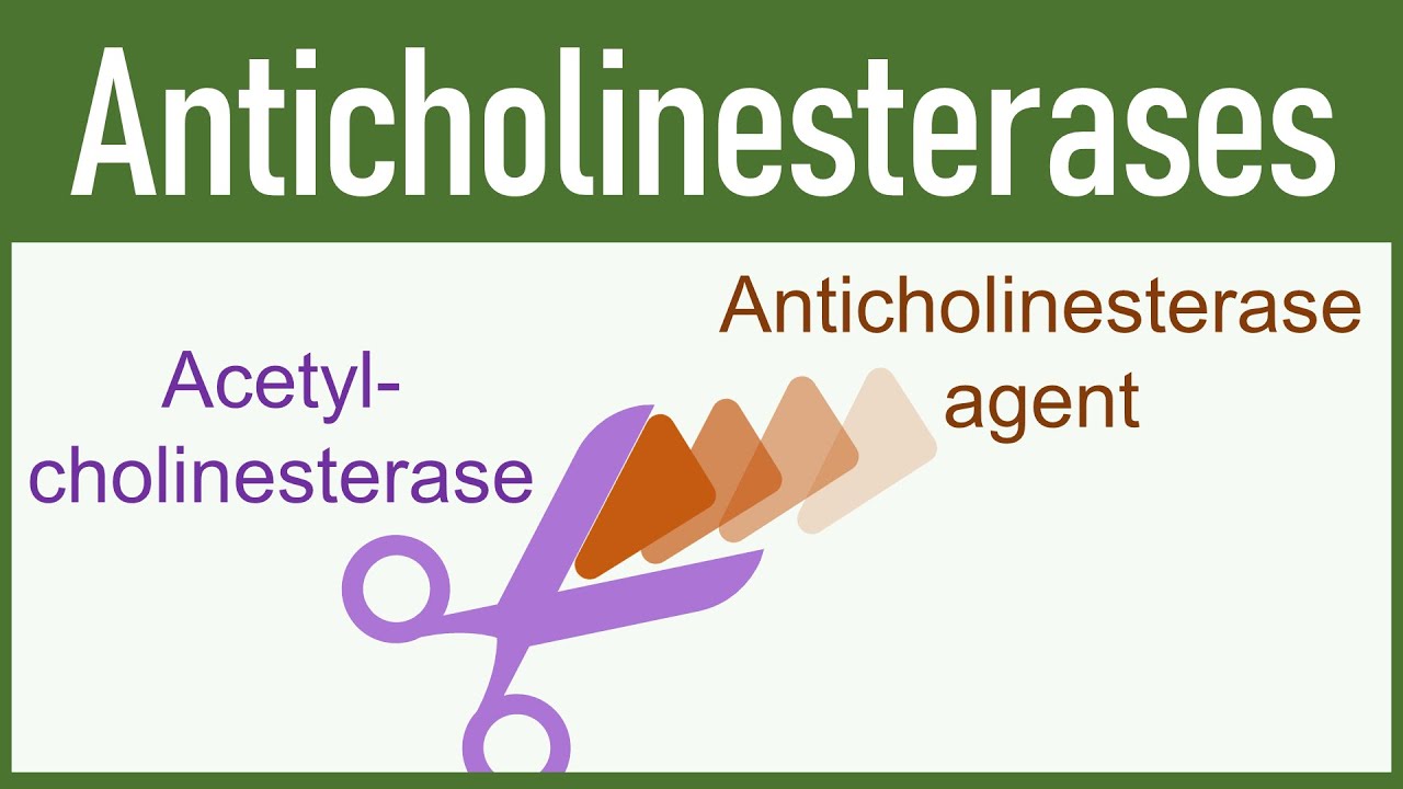 Anticholinesterase Agents Organophosphates Carbamates Youtube