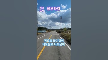 Thumbnail of 귀촉도 불여귀야~ #창부타령 #장민 #비금오빠