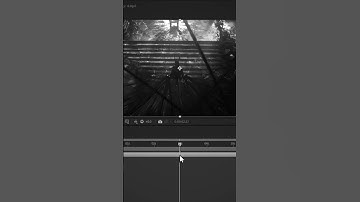 Soepele cameratrillingen in After Effects