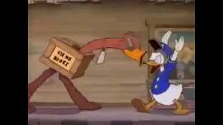 EL AVESTRUZ DE PATO DONALD - Viejos cortos de disney  en español latino