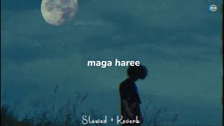 maga haree (Slowed   Reverb)
