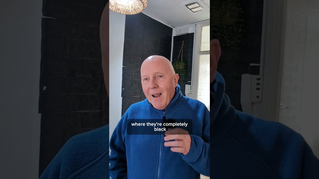 Emergency damp and mould removal job 