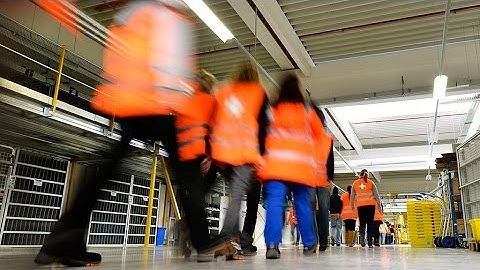 Posted workers / Food, animal and plant safety / Vehicle registration