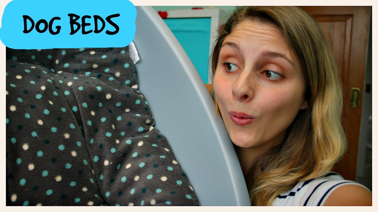 Dog bed review my top 3 YouTube